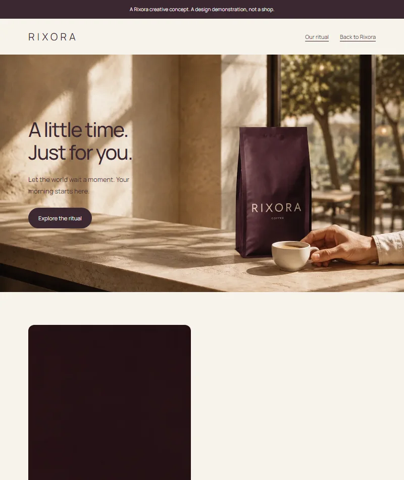 Website design example for the Rixora campaign